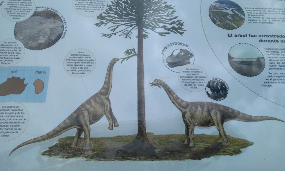 Proyecto_dinosaurio