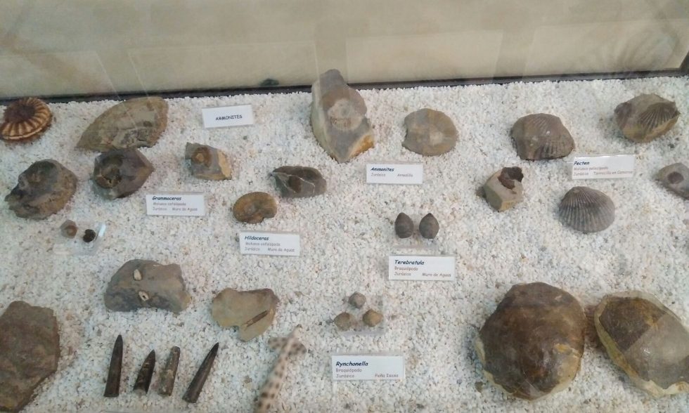 Proyecto_dinosaurio