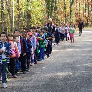 Excursión otoñal a Moncayo