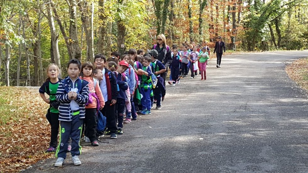 Excursión otoñal a Moncayo