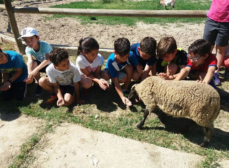 Granja escuela Funes
