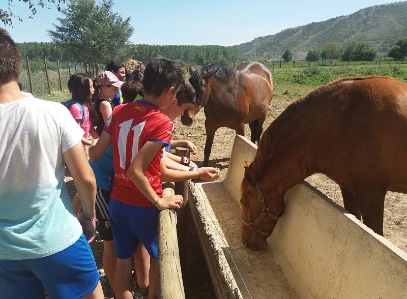 Granja escuela Funes