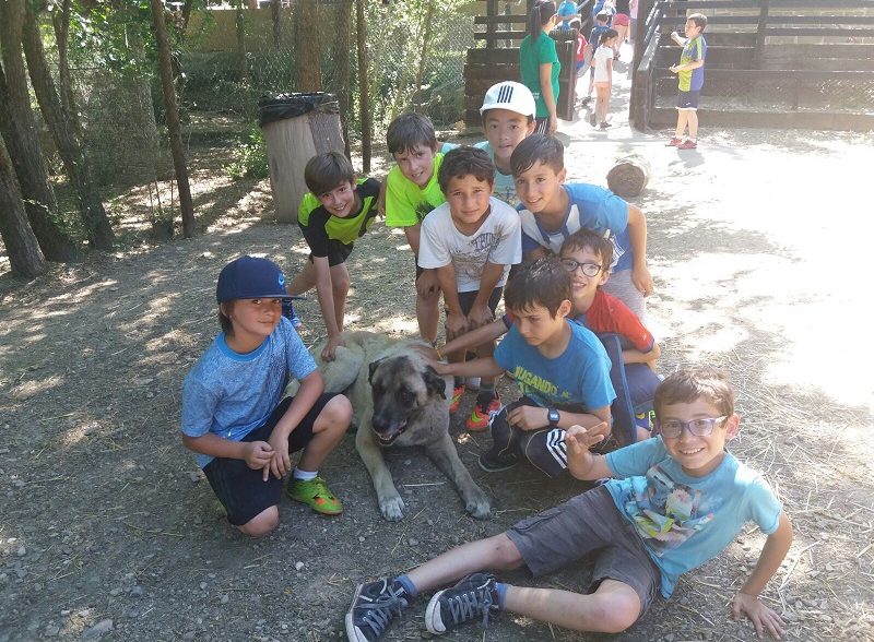 Granja escuela Funes
